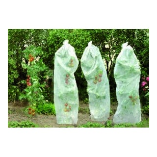floraworld Tomatenreifevlies 0,8x5m 17g weiß