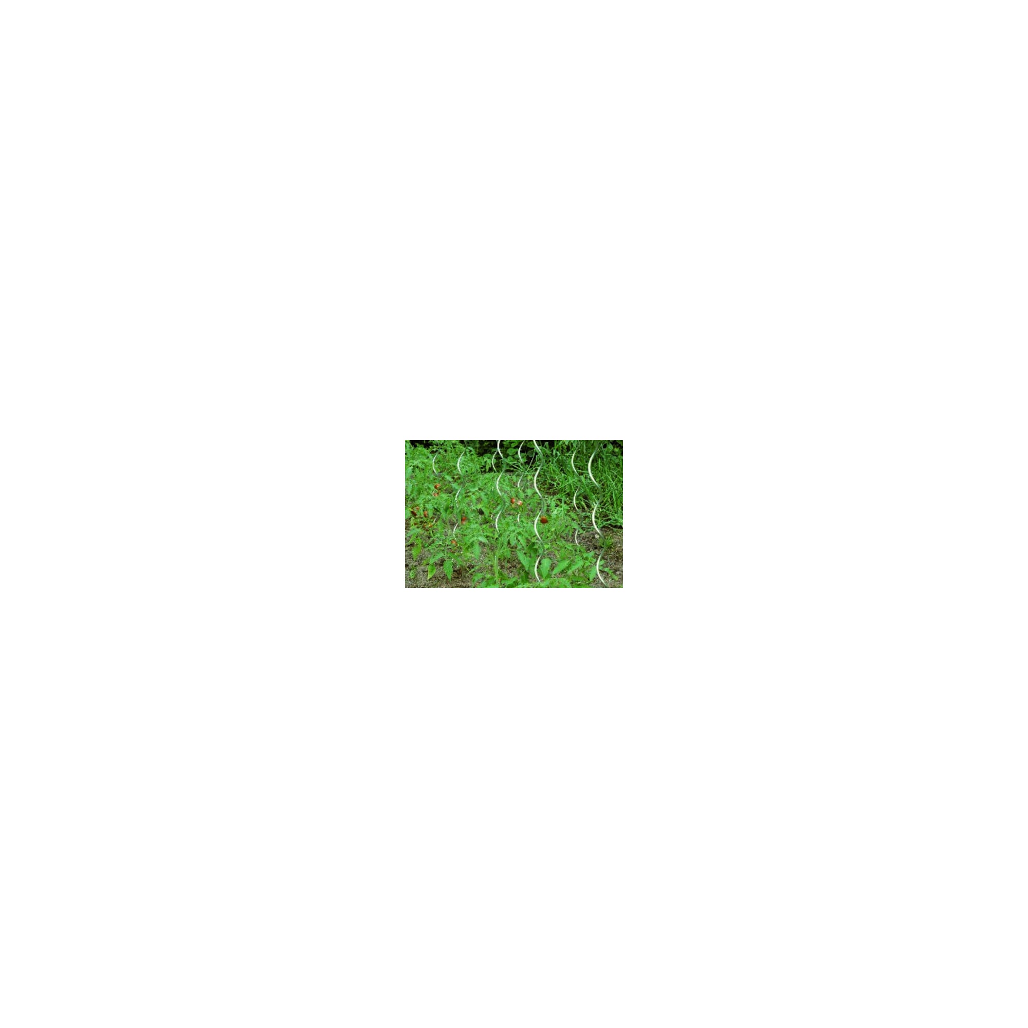 floraworld Tomatenspiralstab 150 cm, Durchmesser 6,8 mm verzinkt