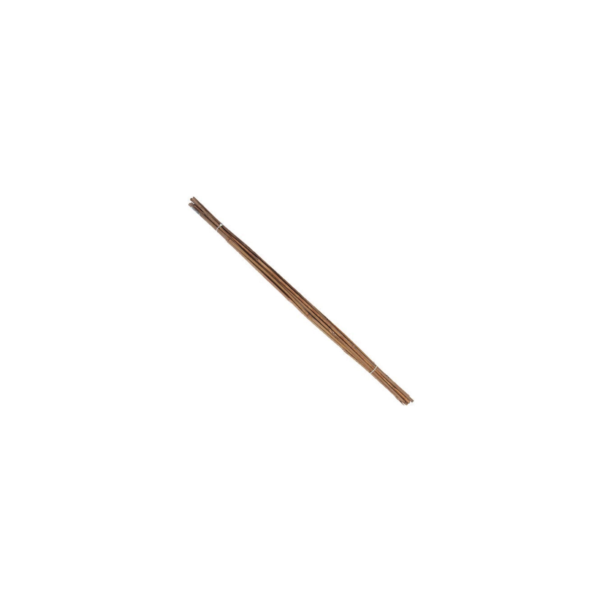 floraworld Tonkin-Pflanzstab, Durchmesser 6-8mm 75cm 10er Bund
