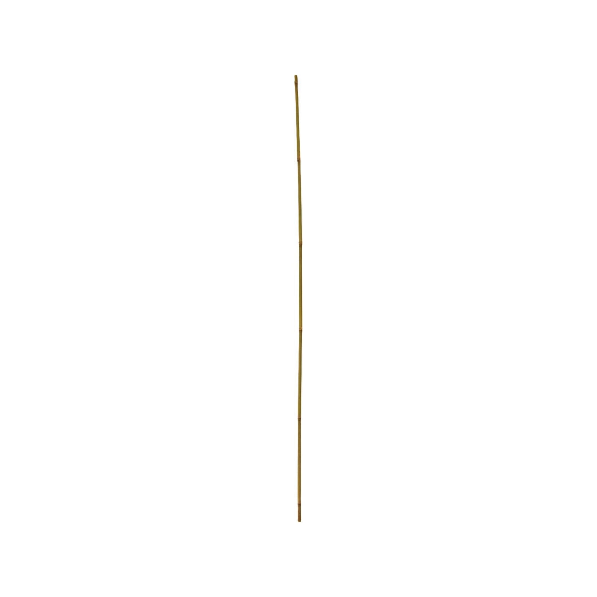 floraworld Tonkin-Pflanzstab, Durchmesser 8-10mm 120cm 10er Bund