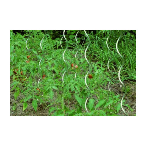 floraworld Tuteur spirale pour tomates 150 cm, diamètre 6,8 mm galvanisé
