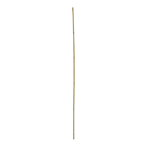 floraworld Tuteur Tonkin, diamètre 8-10 mm, 120 cm, lot de 10