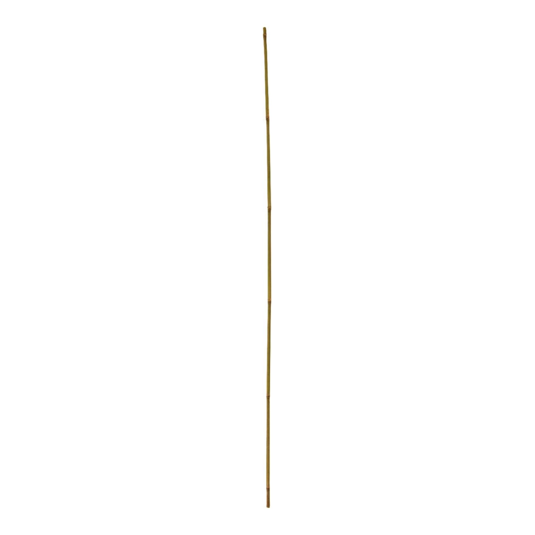 floraworld Tuteur Tonkin, diamètre 8-10 mm, 120 cm, lot de 10