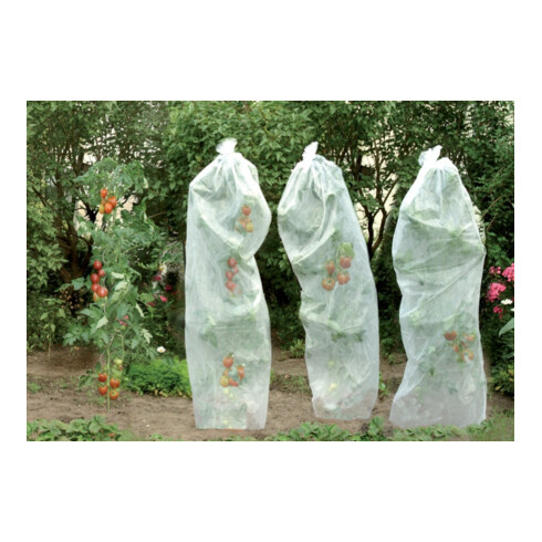 floraworld Voile de mûrissement pour tomates 0,8x5m 17g blanc