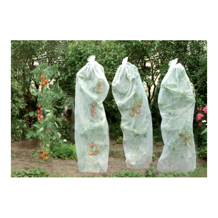 floraworld Voile de mûrissement pour tomates 0,8x5m 17g blanc