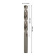 Forets à métaux rectifiés HSS-G, DIN 338 12,3 x 101 x 151 mm-2