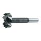 Forstnerbohrer Bormax mit Zentrierspitze FAMAG 2Hauptschneiden 90 mm-1