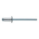 FORTIS Blindniet 4 x 10mm Flachrundkopf 100 Stück Standard
