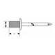 FORTIS Blindniet 4 x 10mm Flachrundkopf 100 Stück Standard