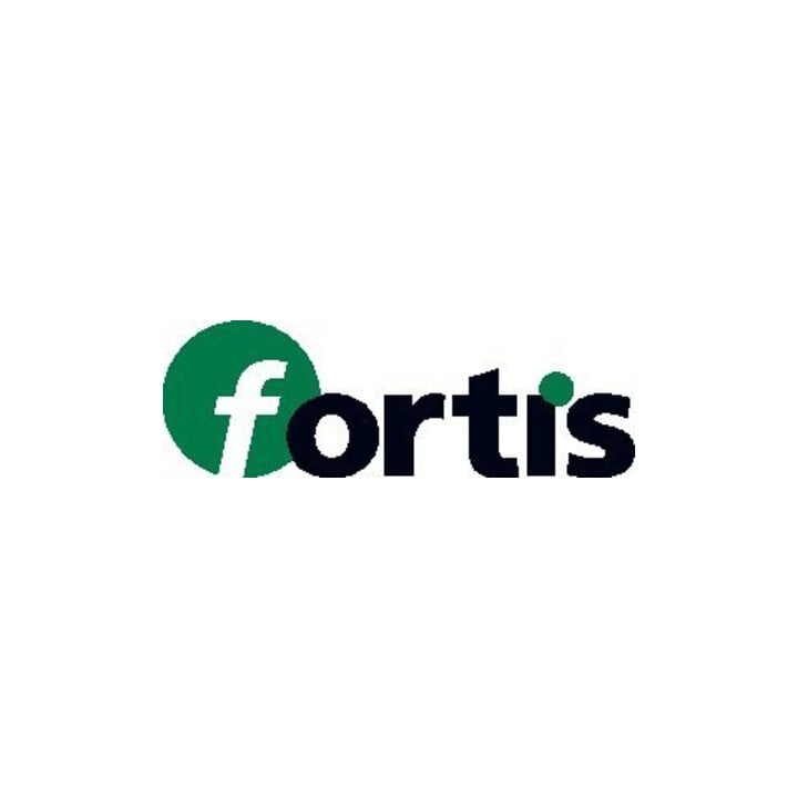 FORTIS Flachsenker DIN373 M M12 HSS