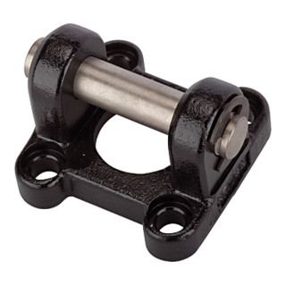 RIEGLER Fixation à fourche pivotante type CB