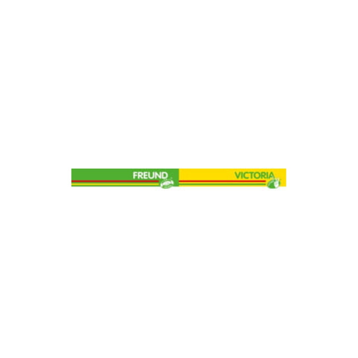 Freund Victoria Kartoffelhacke Zinken-L. 190mm,4 Zinken geschmiedet,m. Stiel G. 1200 g