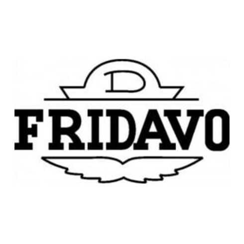 Fridavo Charnière de porte à ressort hélicoïdal modèle M inox Gr.1 L100mm à effet simple