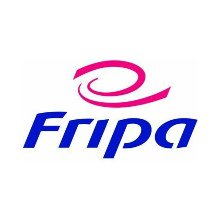 Fripa VERDE Handtuchpapier 1-lagig ZZ