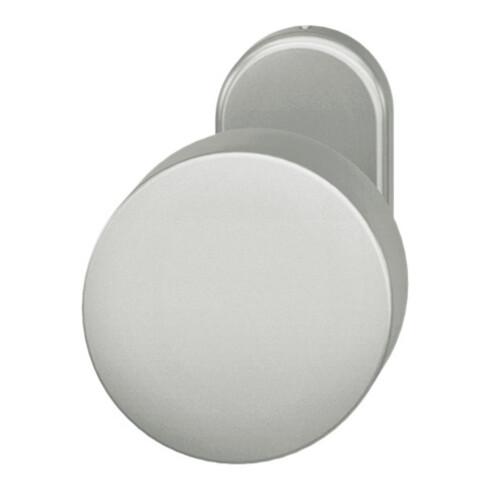FSB Bouton de porte PT, 07 0829, rosace ovale, alu F1