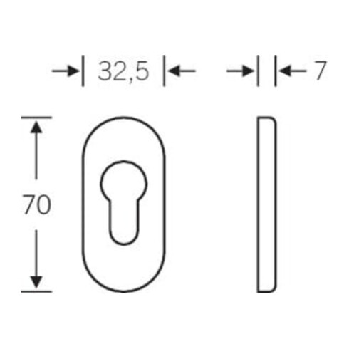 FSB PT-Schlüsselrosette PZ 0 17 1757 oval, F69 matt