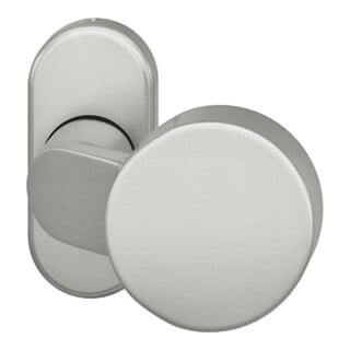 FSB PT-Türknopf, 07 0809, a.Ros.oval, Alu F1