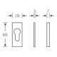 FSB Rosace clé PT, PZ, 0 17 1768, carrée, F69 mat-3