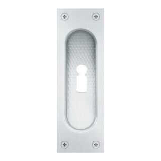 FSB Schiebetürmuschel 42 4211 BB L.120mm B.40mm VA 6204 ktg. EL.-T. 11,5mm FSB