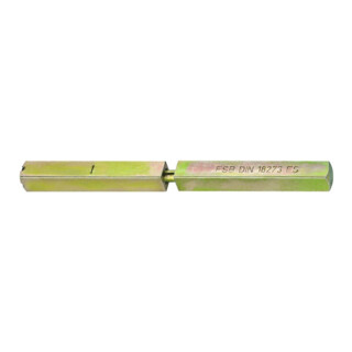 FSB Spezialstift 05 0125 4-KT.9mm L.111 Schl.m.geteilter Nuss
