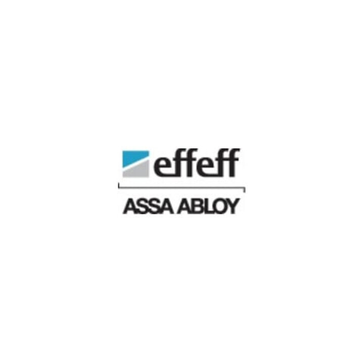Gâche électrique sans gâche 17E 24 V DC 100%ED Stand DIN L/R avec FaFix