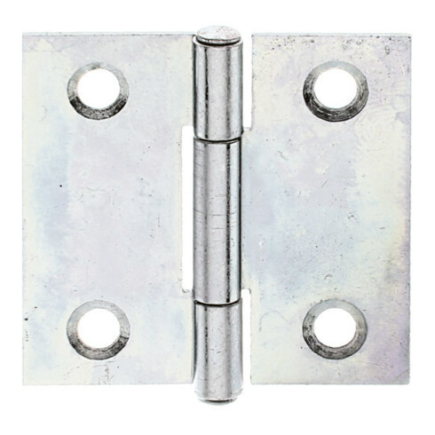 GAH Alberts Charnière de porte carrée, L31xH31mm avec axe inox affleurant