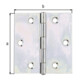 GAH Alberts Charnière de porte carrée, L70xH70mm avec goupille inox vernissé-3