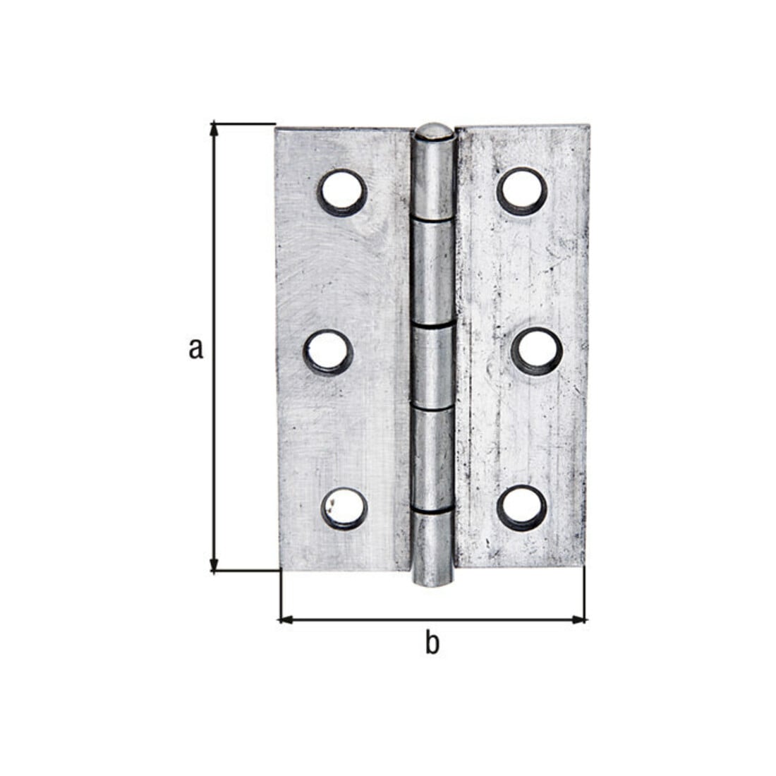 GAH Alberts Charnière de porte demi-large, roulée L43xH63mm Acier inoxydable, inoxydable