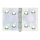 GAH Alberts Charnière de porte large, L74xH50mm avec axe inox poli zingué-1
