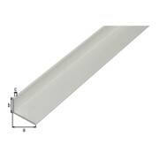 GAH Alberts Profilé d'angle, non percé L1000 x l20 x H10 x É1,5 mm alu argenté-3