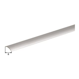GAH Alberts Tep-Laminat de transition, lisse, L30 x L900 mm H au-dessus du sol 5,3 mm EV1