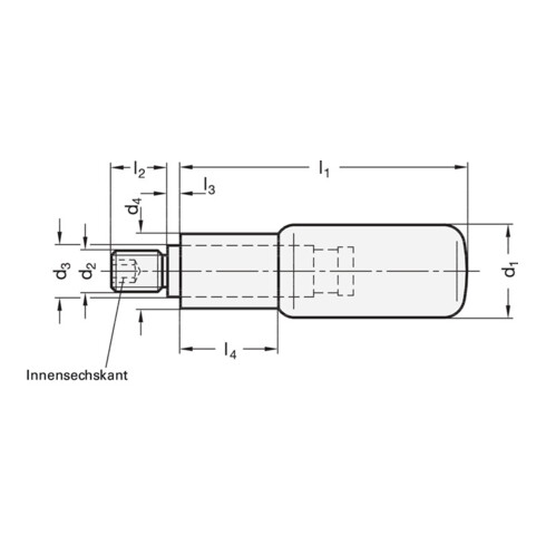 Ganter Drehbarer Zylindergriff GN 798 d1 16mm d2 M 6mm d3 10mm