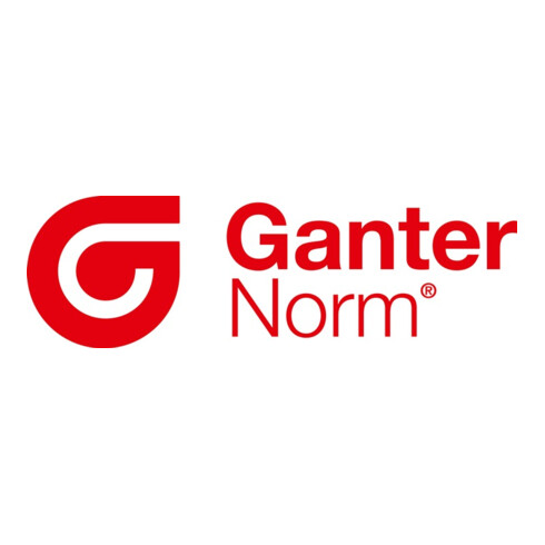 Ganter Haltemagnet GN 50.3 d1 63-3mm d2 M 6mm Hartferrit HF