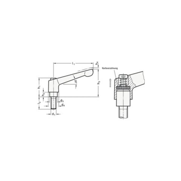 Ganter Levier de serrage réglable GN 300 d1 M 6 mm L1 45 mm L2 32 mm AG