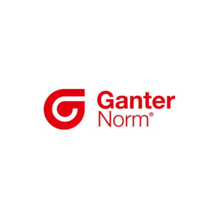 Ganter Volant GN 950 I 15 mm d1 100 mm d2 10 mm