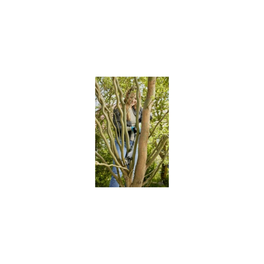 Gardena Akku-Baumschere EasyCut 110/18V P4A solo