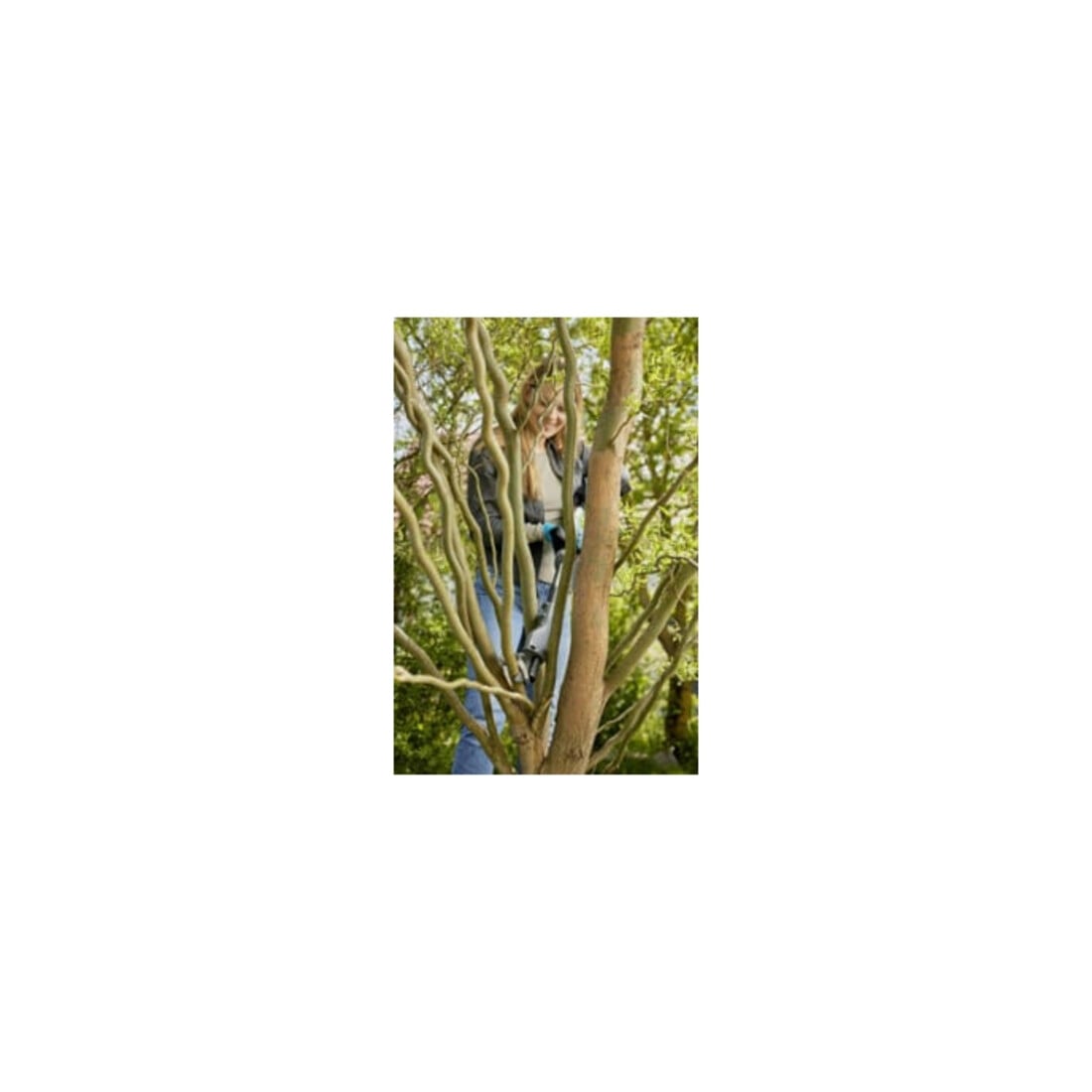 Gardena Akku-Baumschere EasyCut 110/18V P4A solo
