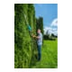 GARDENA Akku-Teleskop-Heckenschere THS 42/18V P4A Ready-To-Use Set
