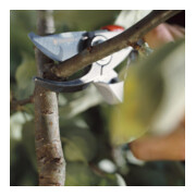 Gardena Alu-Gartenschere B+/L-4