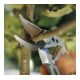 GARDENA Alu-Gartenschere B+/L
