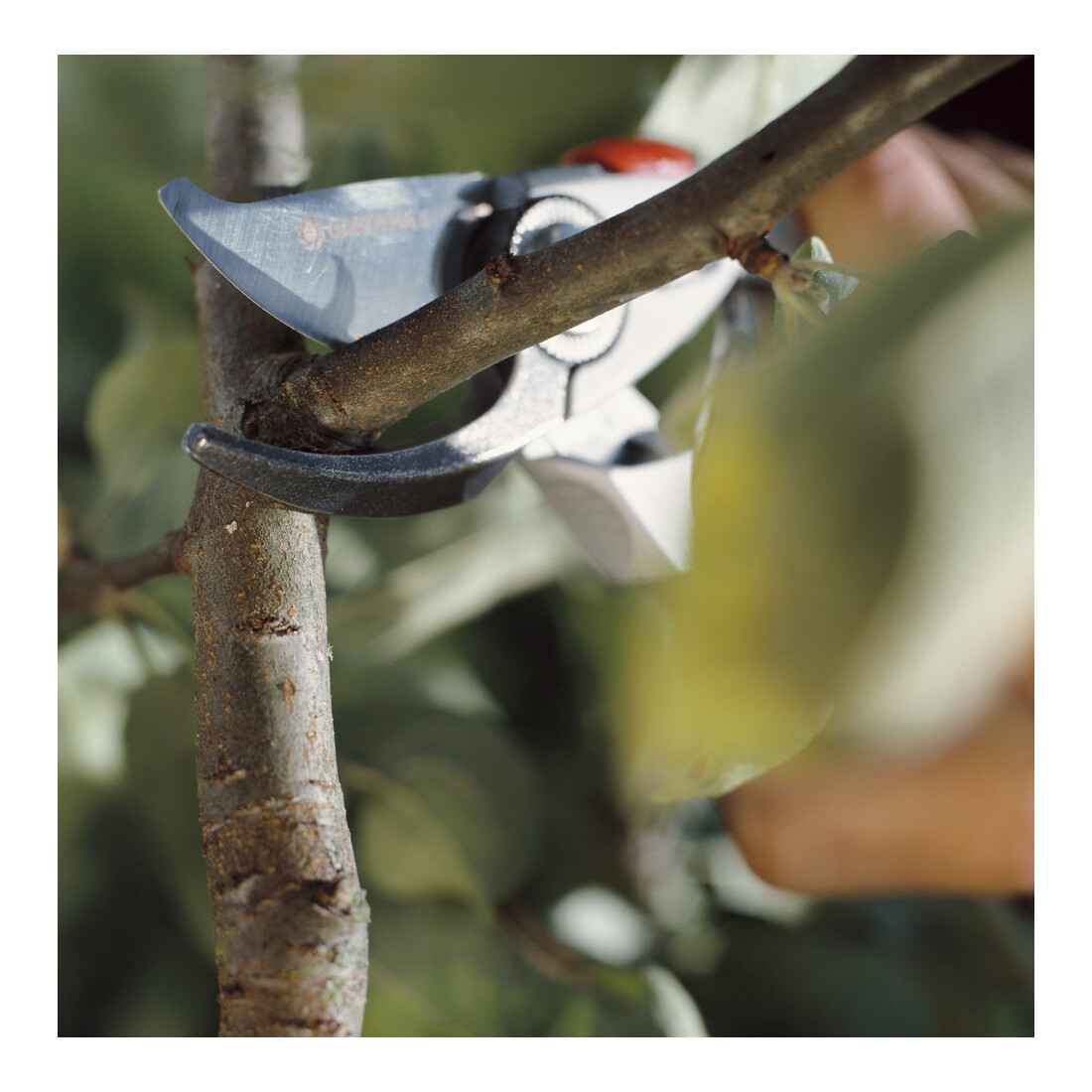 GARDENA Alu-Gartenschere B+/L