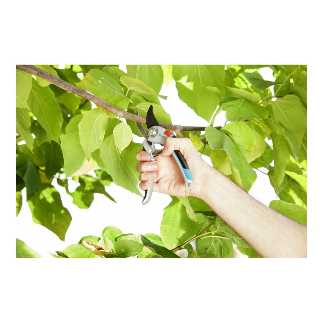 GARDENA Alu-Gartenschere B/L