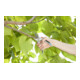 GARDENA Alu-Gartenschere B/L-4
