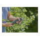 Gardena AssistCut 12222-20