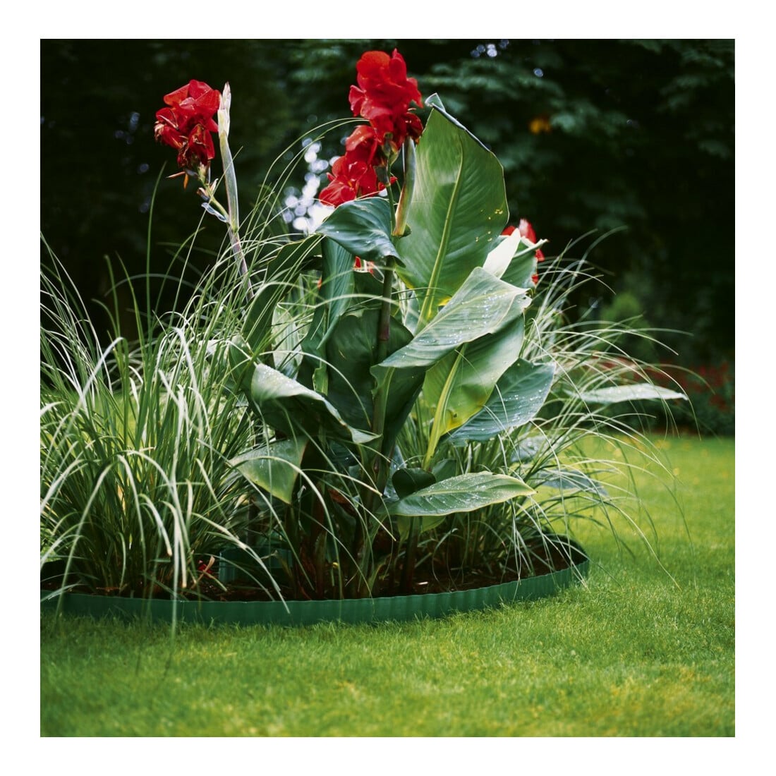 Gardena Bordure de pelouse verte H 20 cm L 9 m