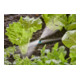 Gardena Buse à jet plat MDS Contenu : 5 pièces-1