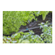 Gardena Buse à jet plat MDS Contenu : 5 pièces-4
