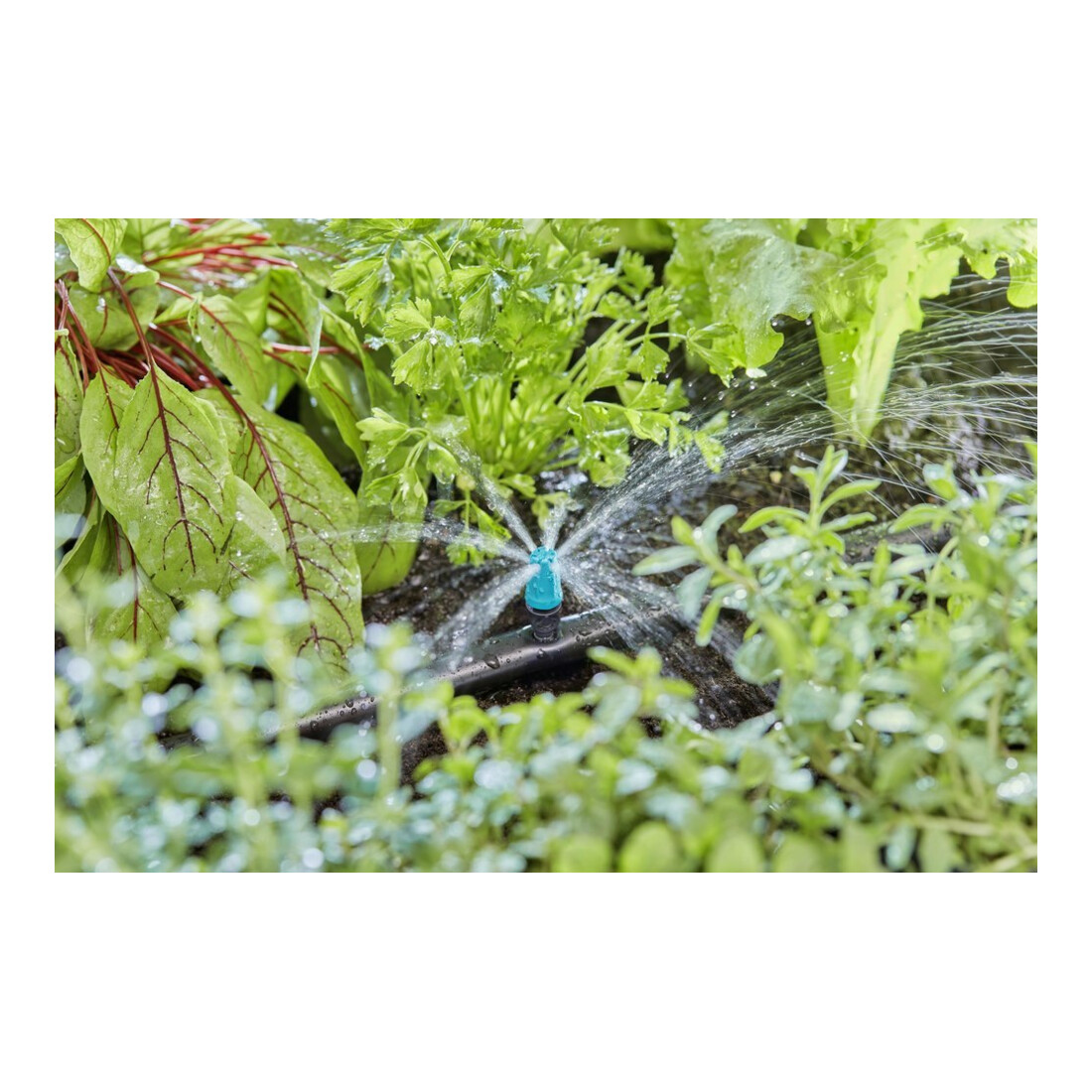 Gardena Buse à surface finale, contenu : 10 pièces MDS