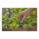 Gardena Buse à surface finale, contenu : 10 pièces MDS-4