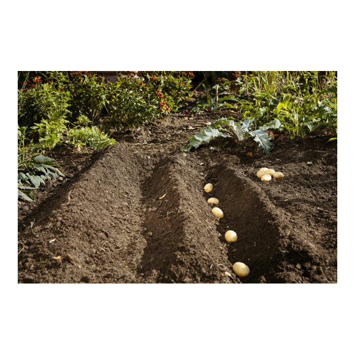 GARDENA charrue à bêcher combisystem GARDINO, 16 cm de large